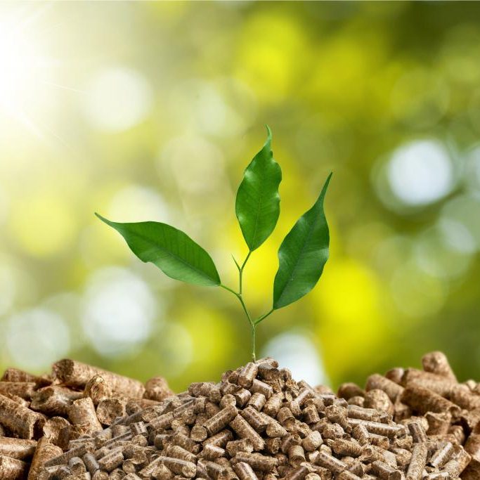 adobestock_108028733_billionphotos1