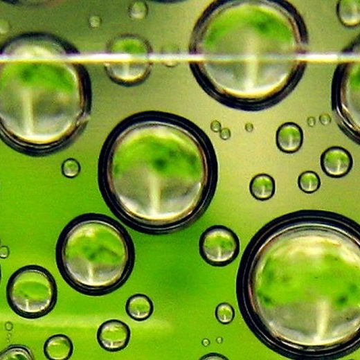 biofuels-opti-a-1200x520